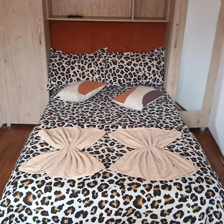Casa Cu Balcon Apartment